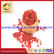 Good Quality and New Crop Dried Goji Berry